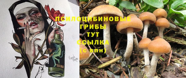тгк Пересвет