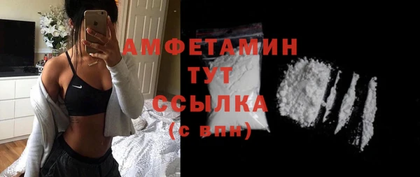 тгк Пересвет