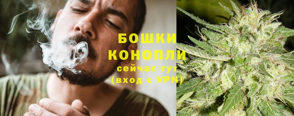 ешки Переславль-Залесский