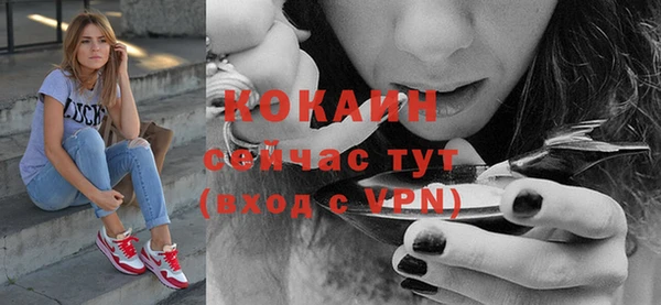 тгк Пересвет