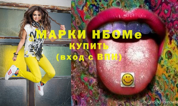 тгк Пересвет