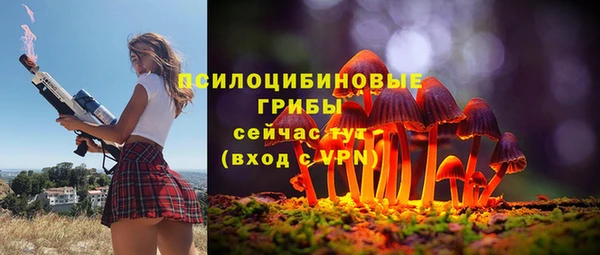 ешки Переславль-Залесский