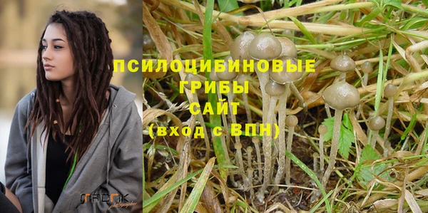 герыч Покровск