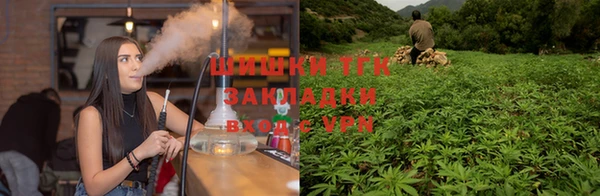 тгк Пересвет