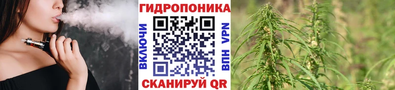 Купить закладки  Кизляр  Канабис планчик 